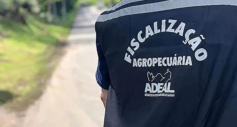 Adeal lança concurso com salário de R$ 7,3 mil e 20 vagas imediatas